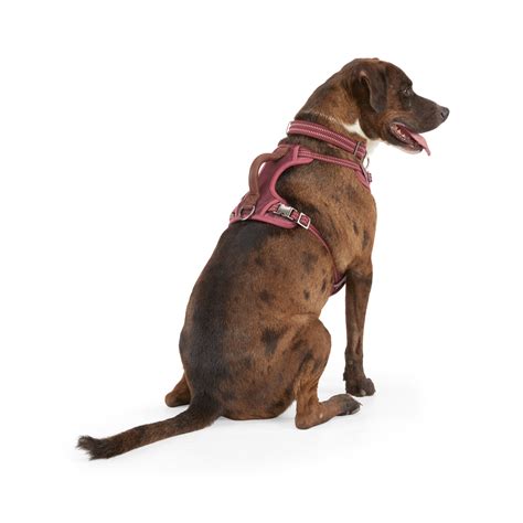 Find a variety of adjustable dog harnesses for different sizes and colors at Petco. Compare customer reviews, prices and features of different brands and models.